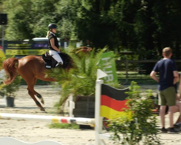 Reitturnier Walldorf/Winterheck 2024