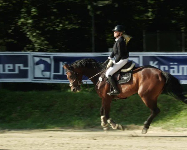 Reitturnier Walldorf/Winterheck 2024