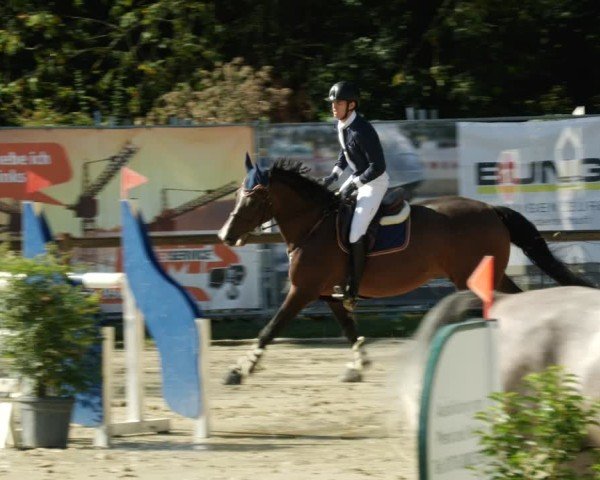 Reitturnier Walldorf/Winterheck 2024