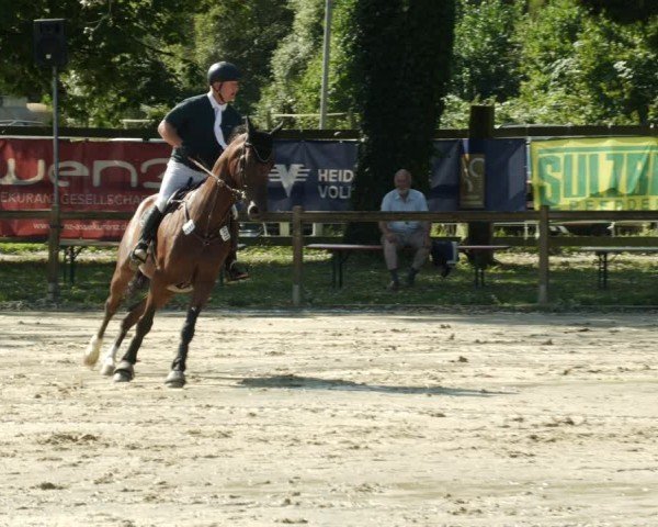Reitturnier Walldorf/Winterheck 2024