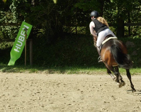 Reitturnier Walldorf/Winterheck 2024
