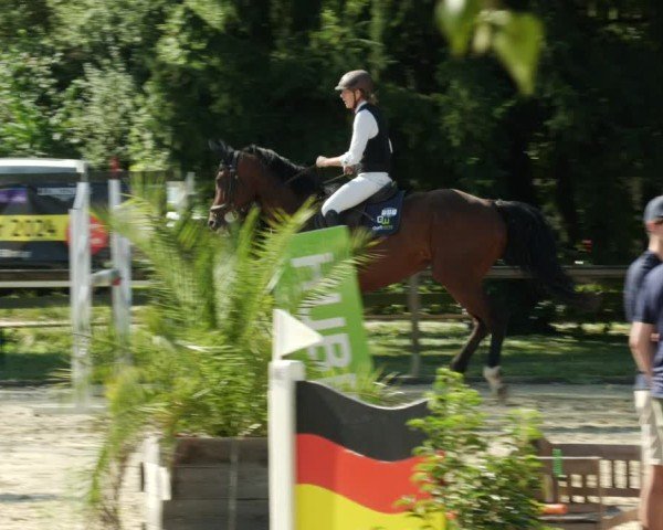 Reitturnier Walldorf/Winterheck 2024