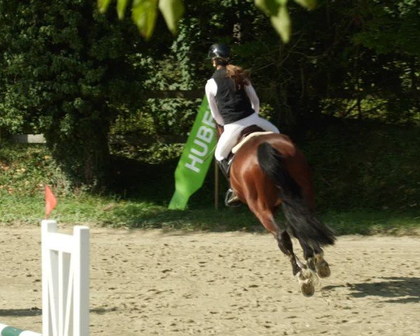Reitturnier Walldorf/Winterheck 2024