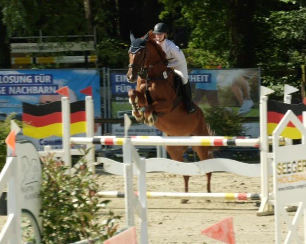 Reitturnier Walldorf/Winterheck 2024