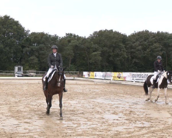 Reitturnier Ostbevern 2024
