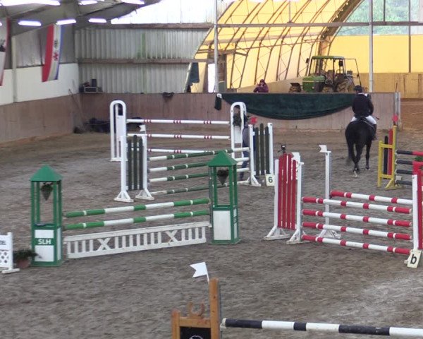 Reitturnier Wollersleben 2021