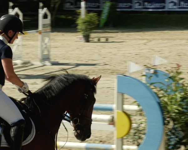 Reitturnier Walldorf/Winterheck 2024
