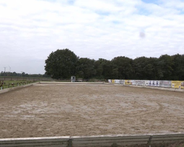Reitturnier Ostbevern 2024