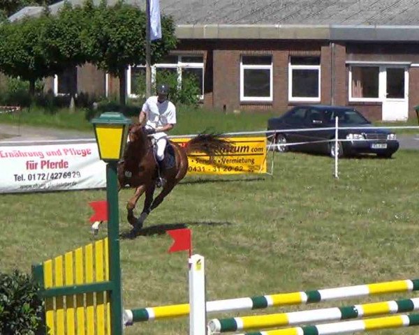 Reitturnier Rendsburg 2013