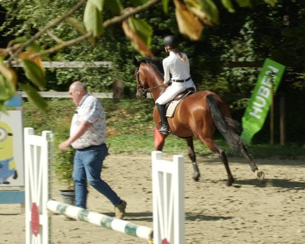 Reitturnier Walldorf/Winterheck 2024