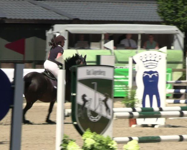 Reitturnier Solingen 2024