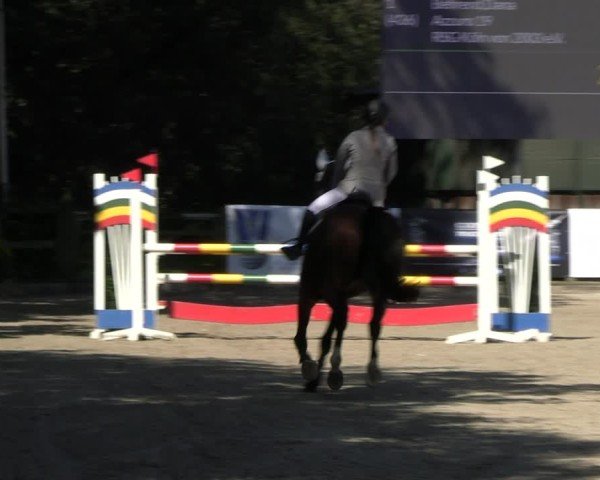 Reitturnier Solingen 2024