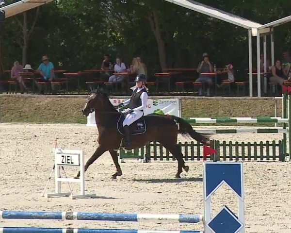 Reitturnier Großbardorf/Ufr. 2024