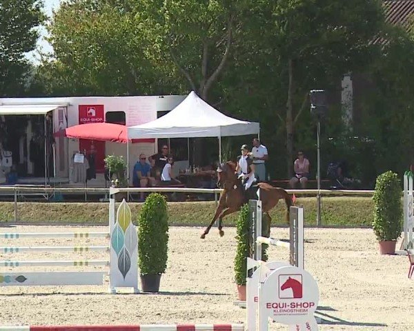 Reitturnier Großbardorf/Ufr. 2024