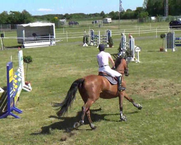 Reitturnier Rendsburg 2013