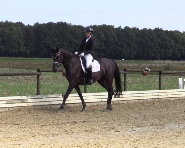Reitturnier Ostbevern 2024