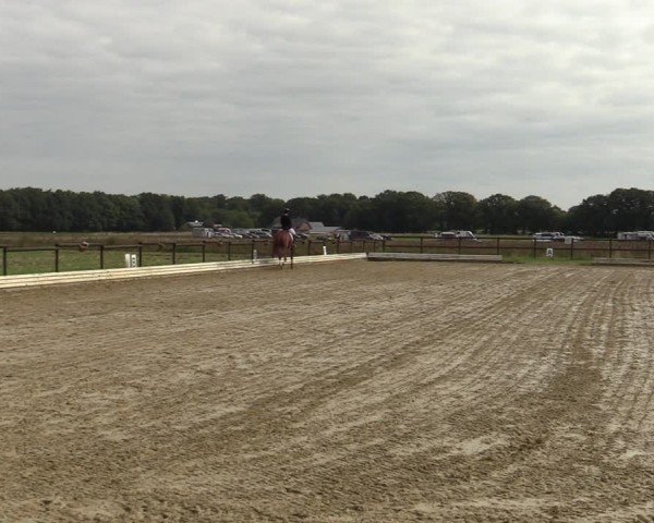 Reitturnier Ostbevern 2024