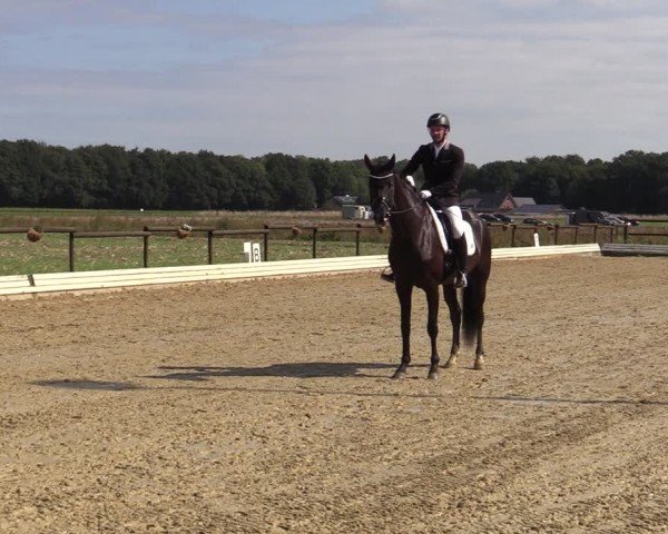 Reitturnier Ostbevern 2024