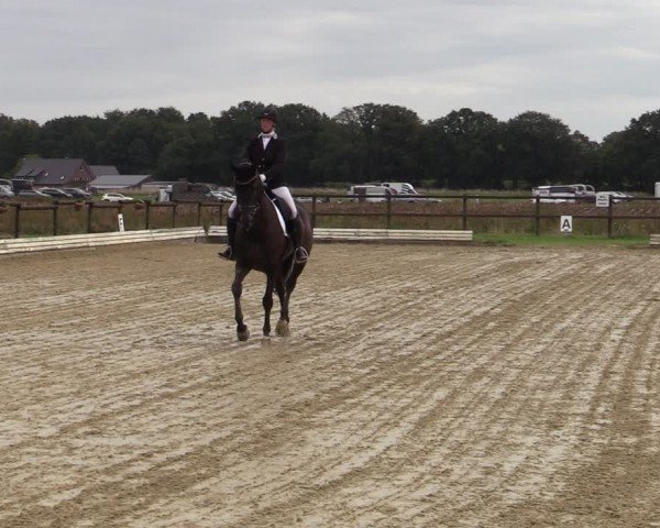 Reitturnier Ostbevern 2024