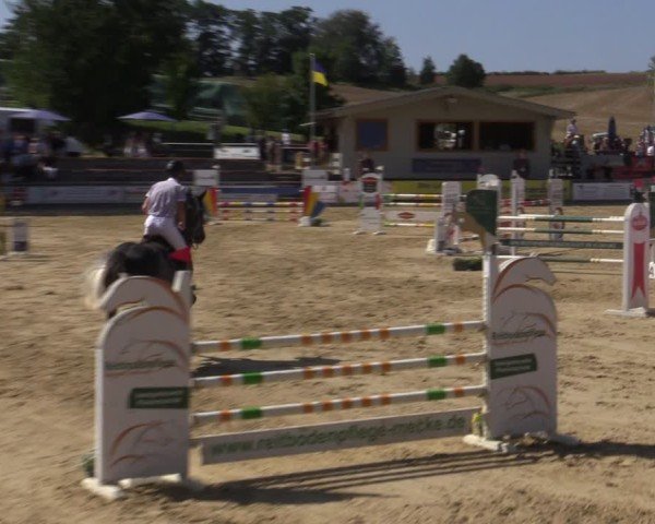 Reitturnier Duderstadt 2024