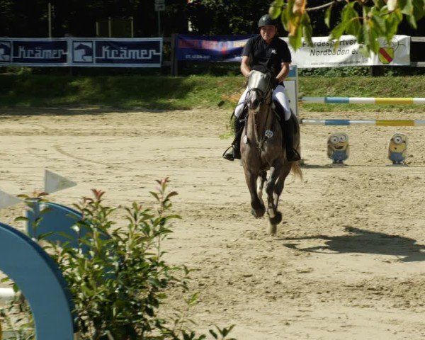 Reitturnier Walldorf/Winterheck 2024
