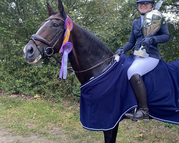 jumper Peter Pan 155 (KWPN (Royal Dutch Sporthorse), 2004, from Potsdam)