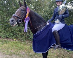 jumper Peter Pan 155 (KWPN (Royal Dutch Sporthorse), 2004, from Potsdam)