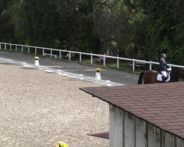 Reitturnier Zillhofen/Obb. 2024
