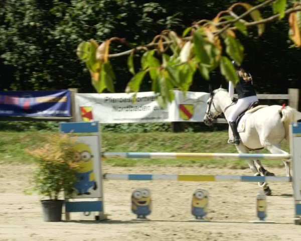 Reitturnier Walldorf/Winterheck 2024