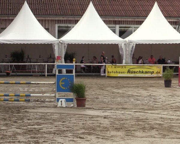 Reitturnier Werne 2024