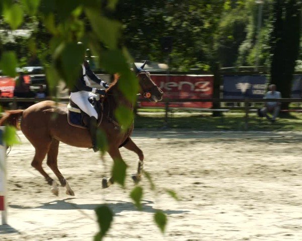 Reitturnier Walldorf/Winterheck 2024