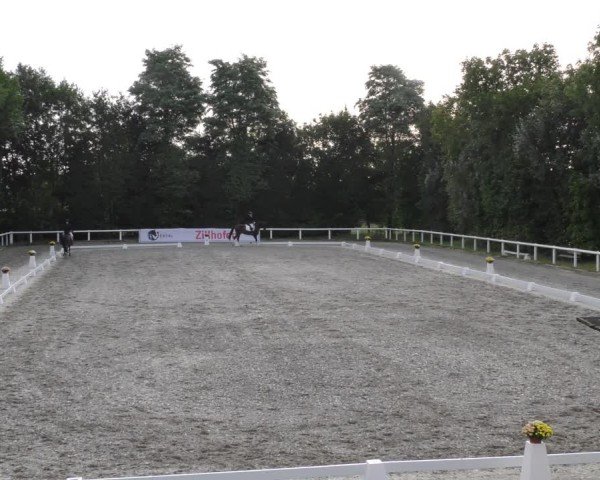 Reitturnier Zillhofen/Obb. 2024