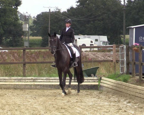 Reitturnier Ostbevern 2024