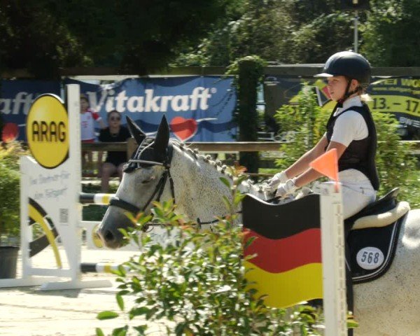 Reitturnier Walldorf/Winterheck 2024