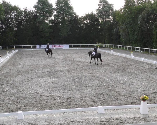Reitturnier Zillhofen/Obb. 2024