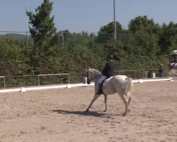 Reitturnier Großbardorf/Ufr. 2024