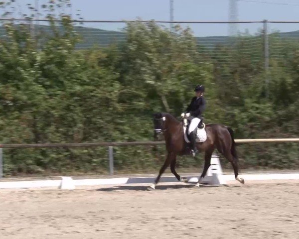 Reitturnier Großbardorf/Ufr. 2024