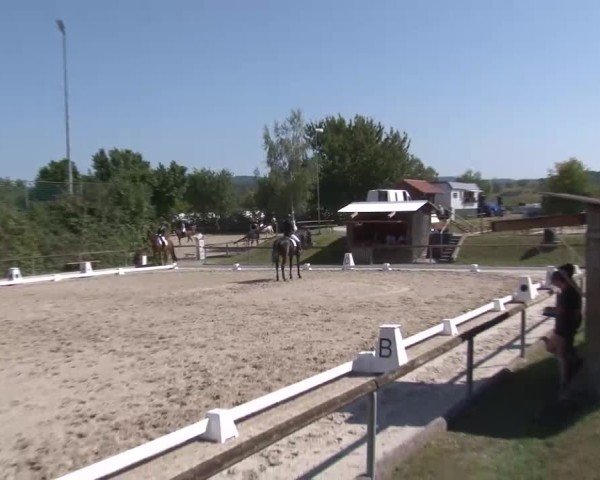 Reitturnier Großbardorf/Ufr. 2024