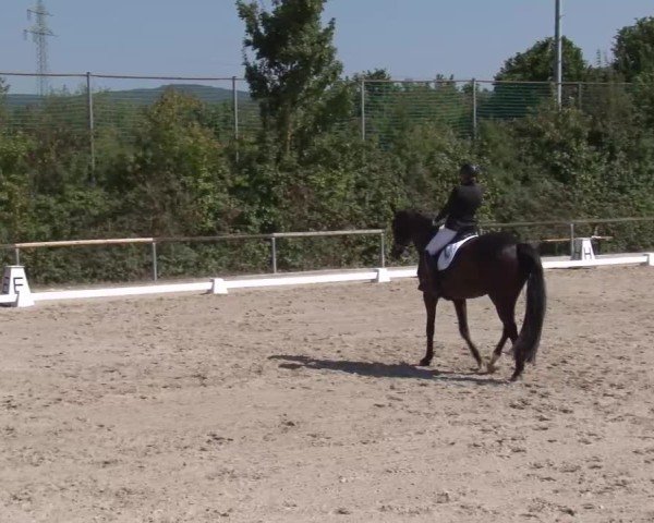 Reitturnier Großbardorf/Ufr. 2024