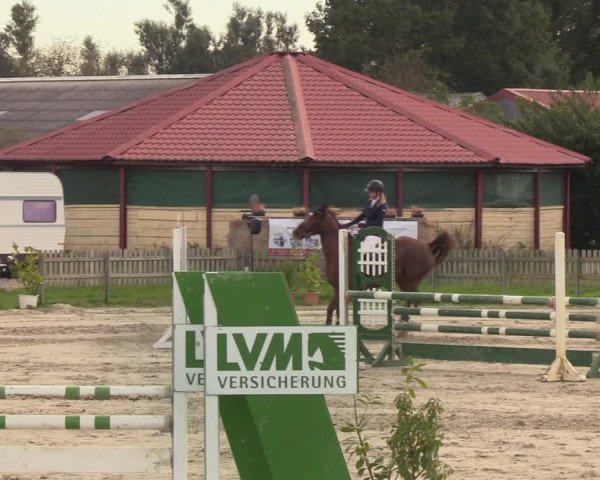 Reitturnier Schülp / Rendsburg 2021