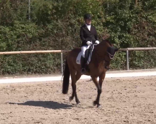 Reitturnier Großbardorf/Ufr. 2024