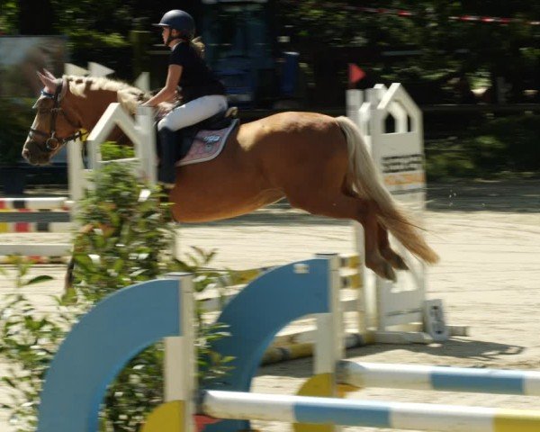 Reitturnier Walldorf/Winterheck 2024
