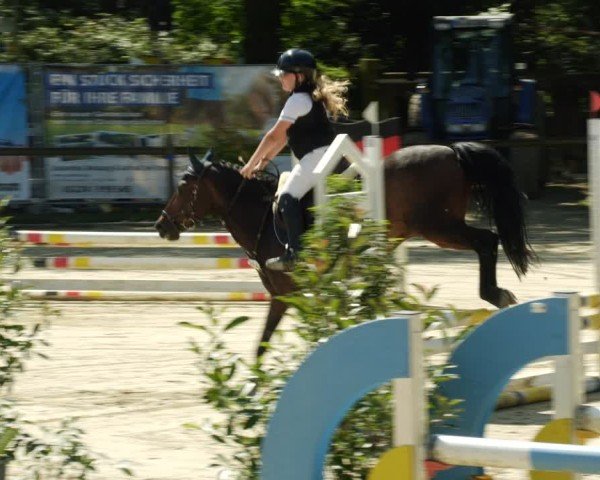 Reitturnier Walldorf/Winterheck 2024