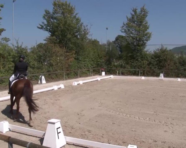 Reitturnier Großbardorf/Ufr. 2024