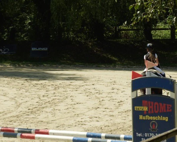 Reitturnier Walldorf/Winterheck 2024