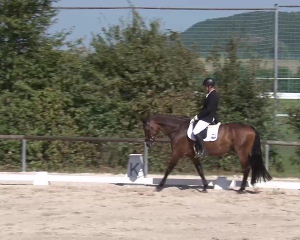 Reitturnier Großbardorf/Ufr. 2024
