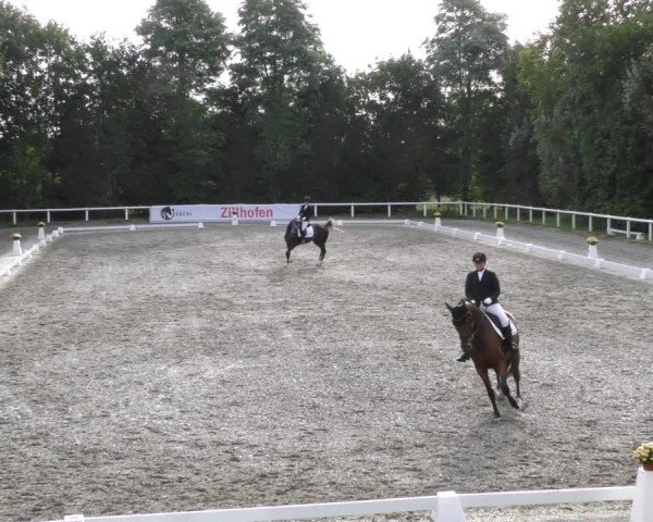 Reitturnier Zillhofen/Obb. 2024