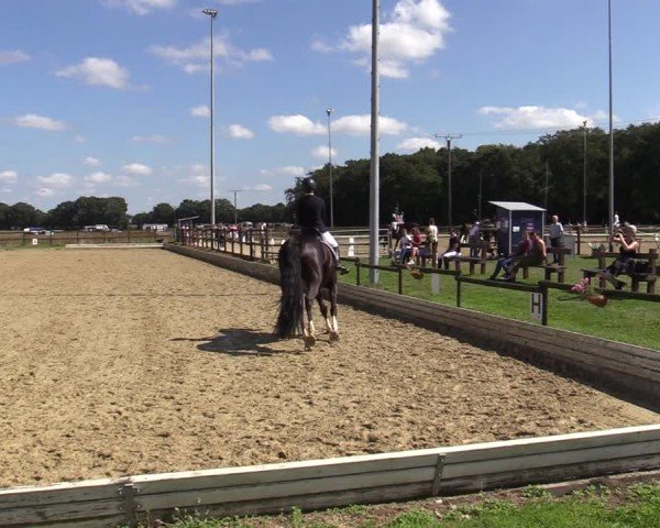 Reitturnier Ostbevern 2024