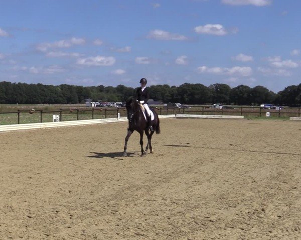 Reitturnier Ostbevern 2024