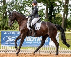 dressage horse Florentine 139 (Oldenburg, 2018, from Morricone)